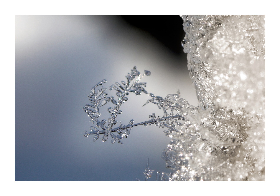 Snow crystals