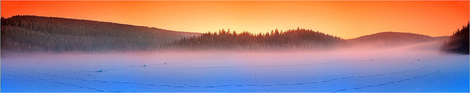 Lake Foggy