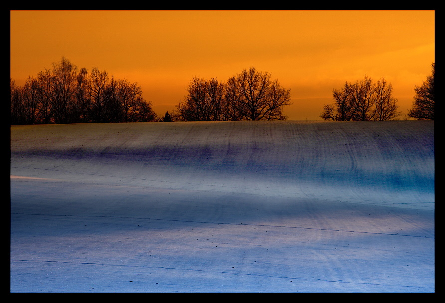 wintercolors