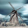 The dutch windmill