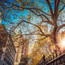 New York early in the morning