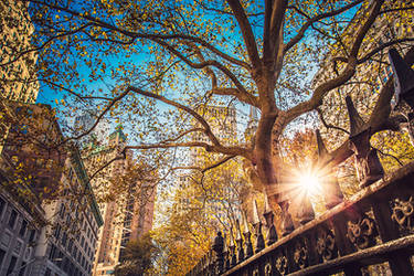 New York early in the morning by Torsten-Hufsky
