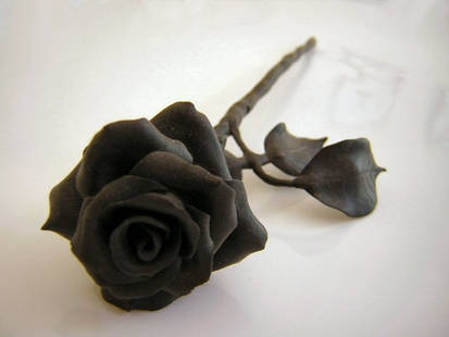 Black Rose