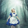 Alice in Wonderland2