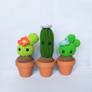 Pet Cacti