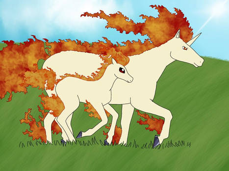 Ponyta and Rapidash