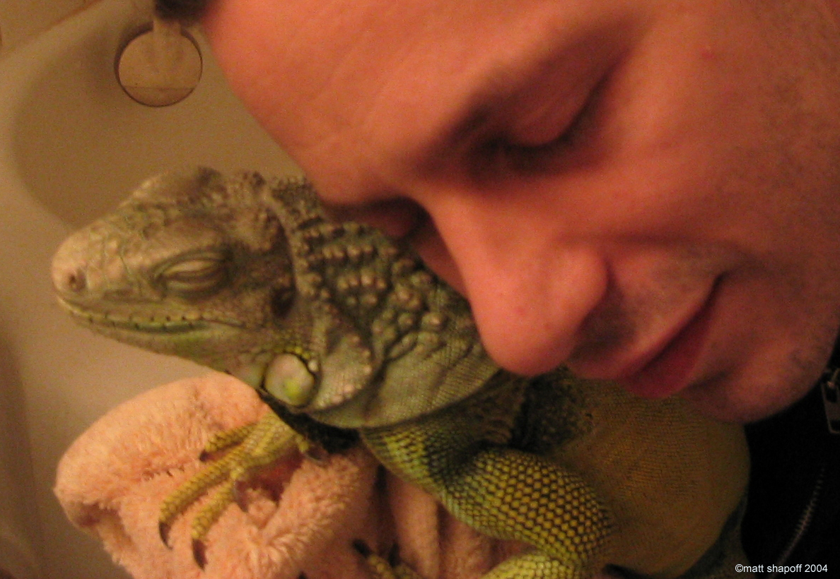 A boy and his Iguana