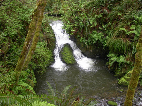 Fern Falls