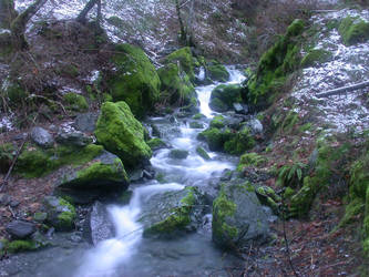 Winter Stream