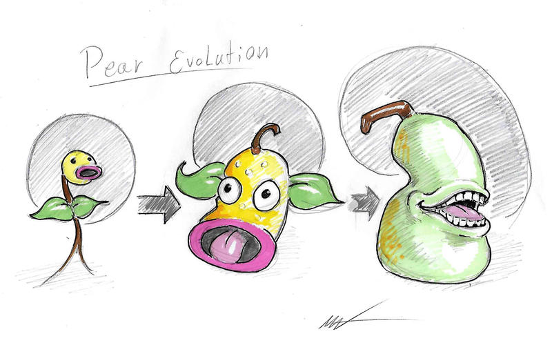 Pear Evolution