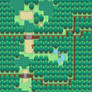 Starter Town, Route 1