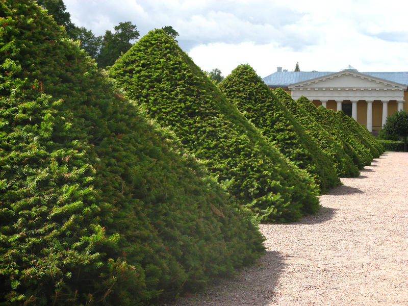 Uppsala LinnePark by phidoubleprime on DeviantArt