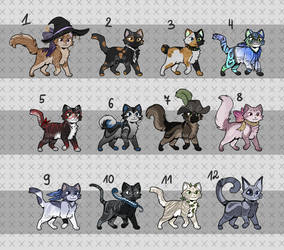 Batch of cats adopts