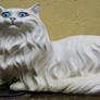Cat III