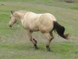 Hank Running