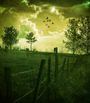 Green field.. by hearthy