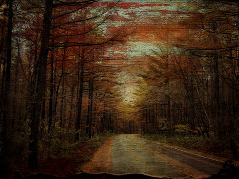 Autumn Road