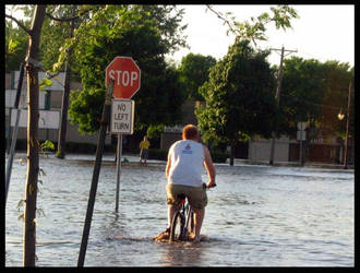 Public in the Flood