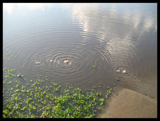 Flood Bubbles