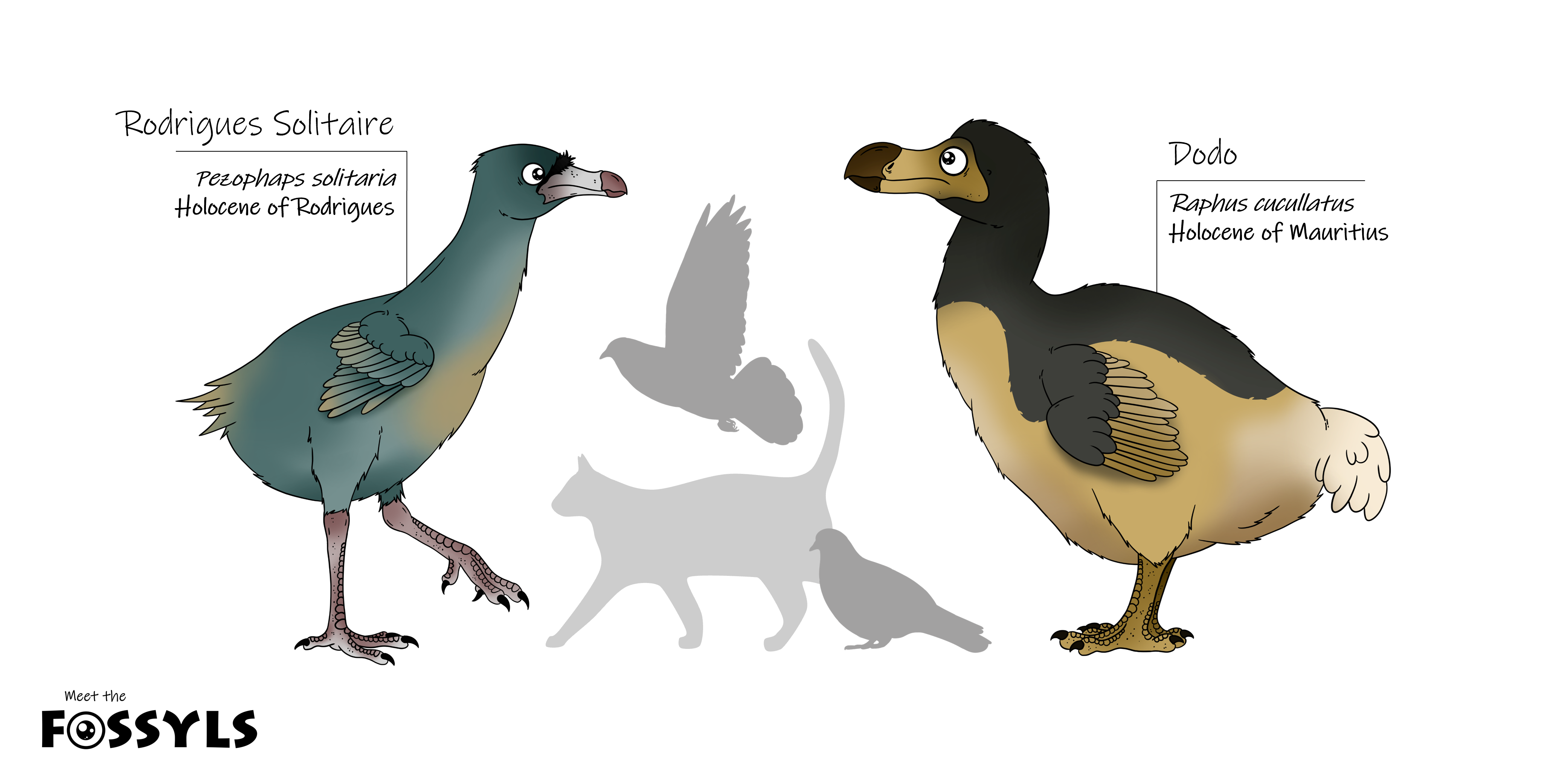 Rodrigues Solitaire and Dodo by MeetTheFossyls on DeviantArt