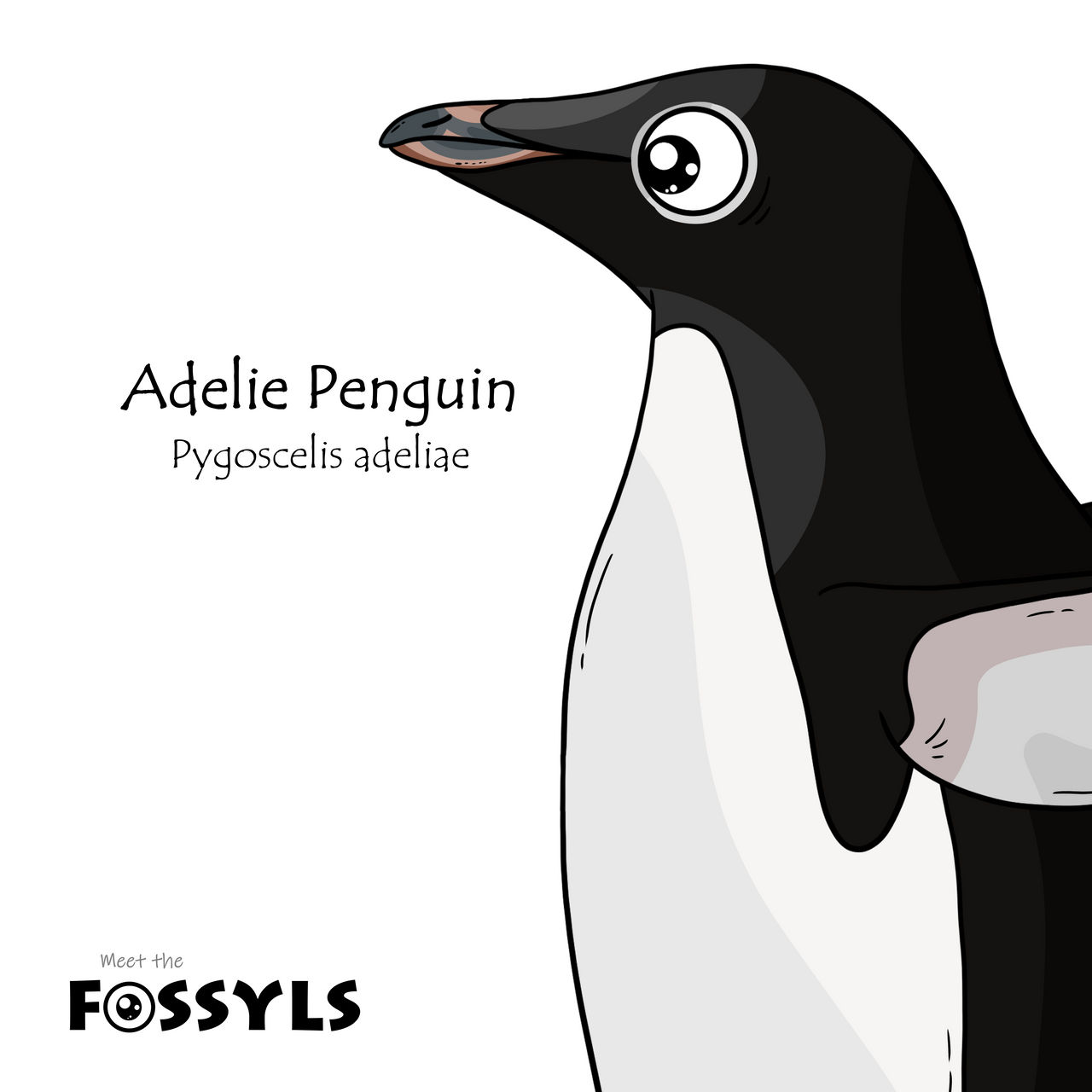 Adelie Penguin - Pygoscelis adeliae by MeetTheFossyls on DeviantArt