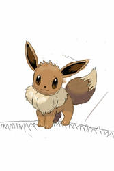 Eevee collored