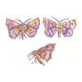 Purple Thorn Moth