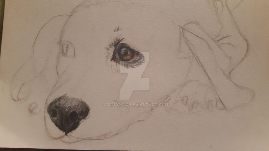 Puppy WIP