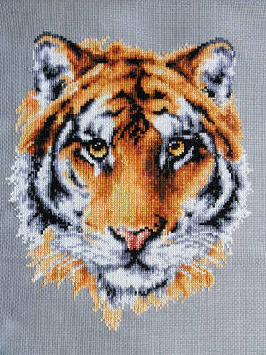 Tiger Face by Devi-Tiger Tiger Face by Devi-Tiger