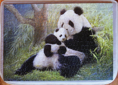 500 piece Panda Jigsaw