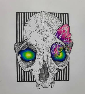 Cat skull design