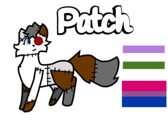 Patch