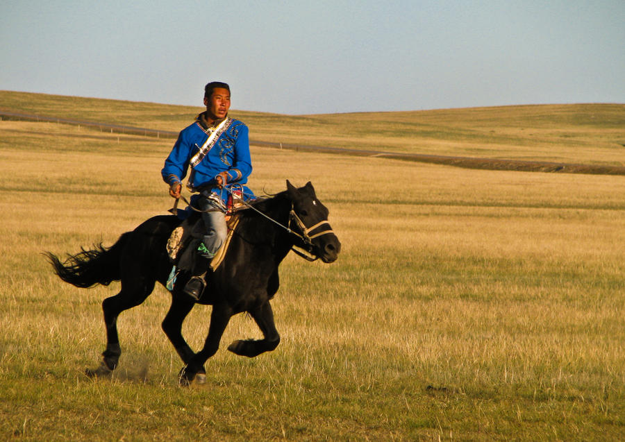 Mongolian Horse Rider by kayellaneza