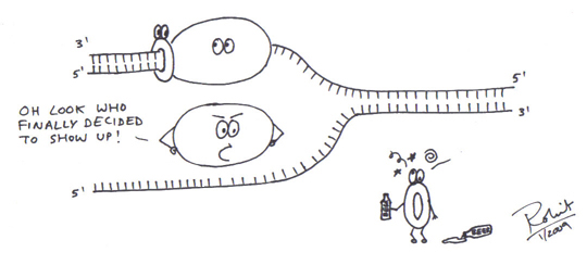 DNA Replication by Moraxella on DeviantArt DNA Replication by Moraxella on DeviantArt
