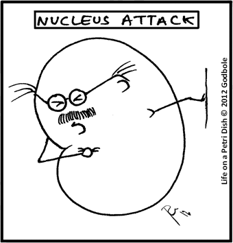 Nucleus Attack