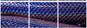 dckxjhd-e875a017-b407-451a-a8c8-85f8217c
