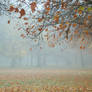 Autumn Mist STOCK