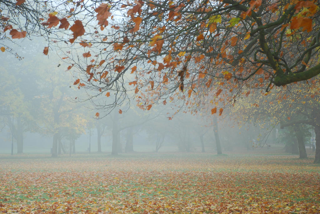 Fall Dark Mist Autumn Mist STOCK by KijaniKinyonga on DeviantArt
