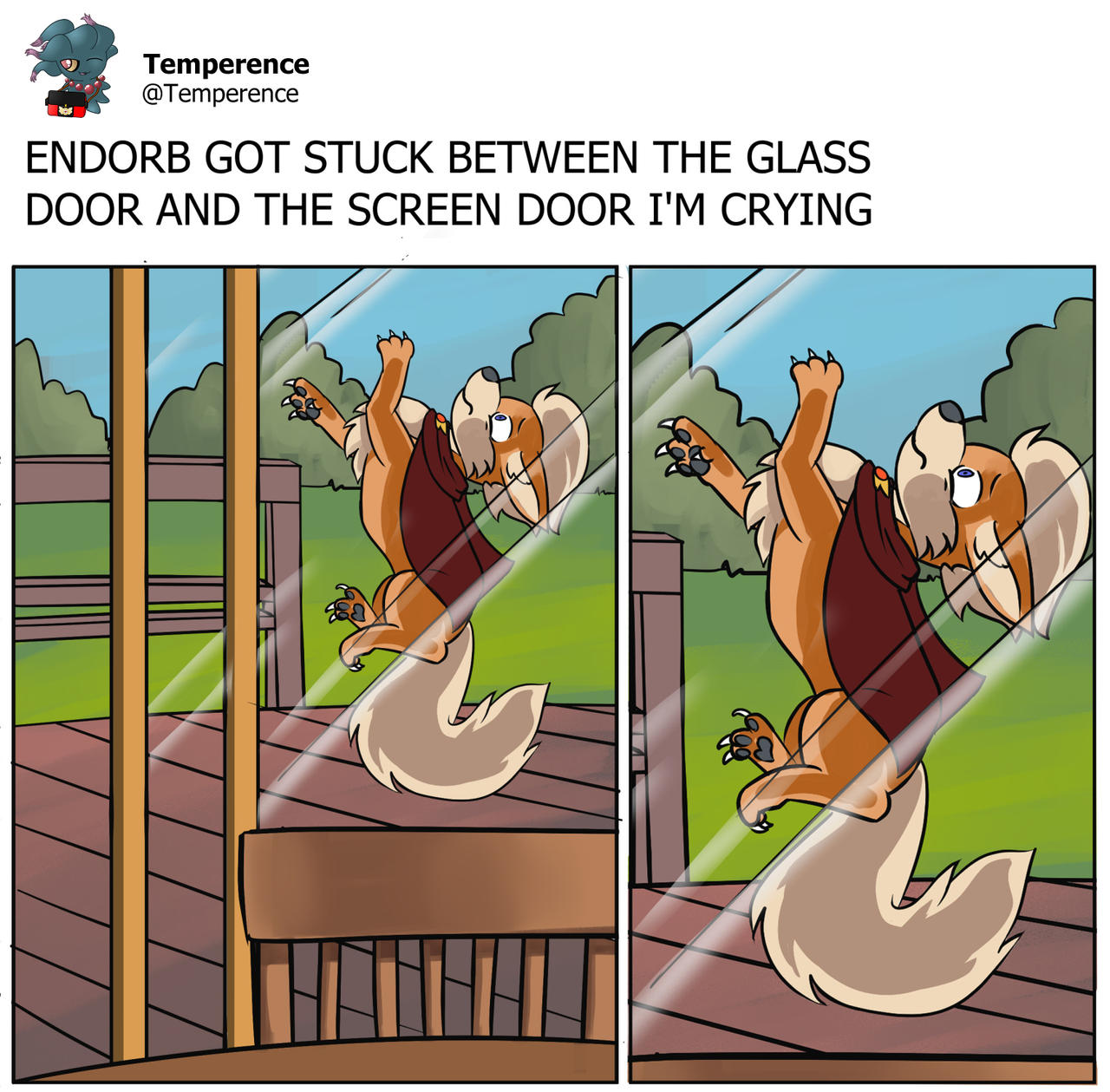 Pmd Confuse PMD Meme by Arya-Jaeger on DeviantArt