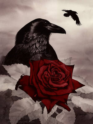 The Rose and the Raven by AtlasMystica