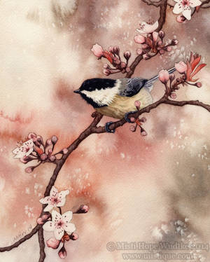 Spring Chickadee by AtlasMystica