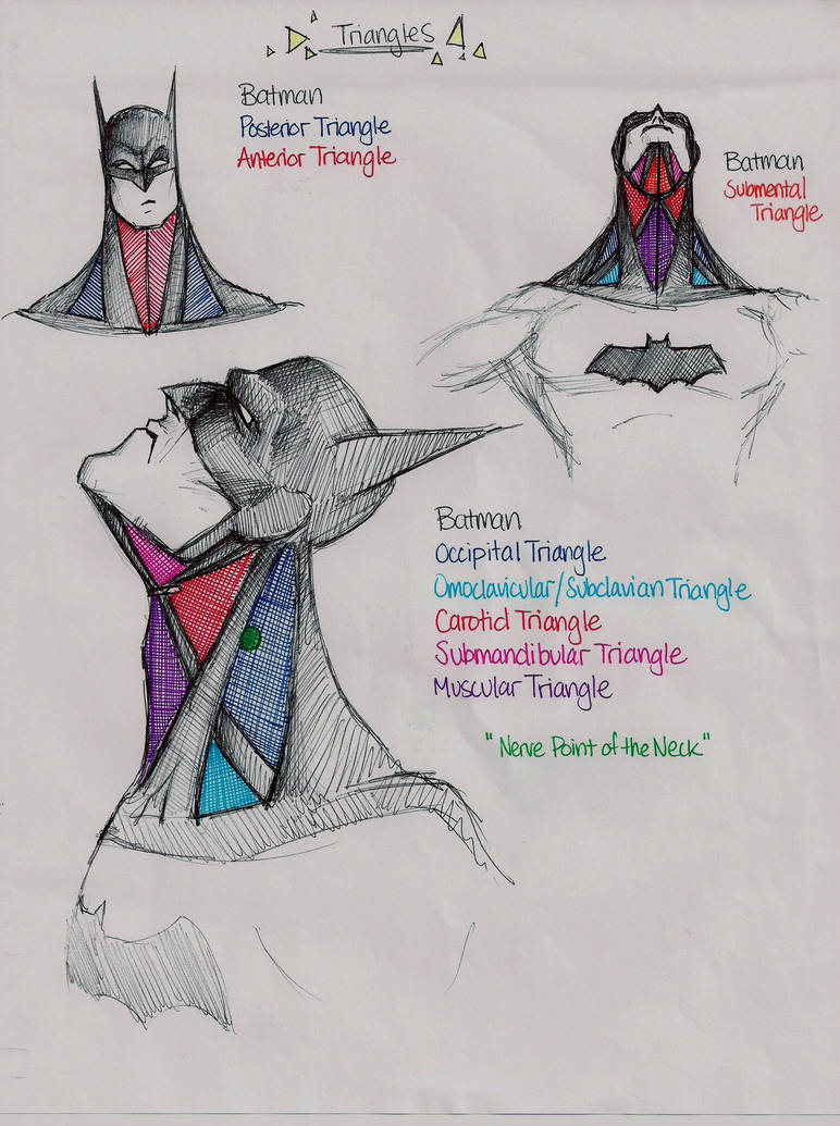 Batman Anatomy Tutor by Bealy-Boy on DeviantArt
