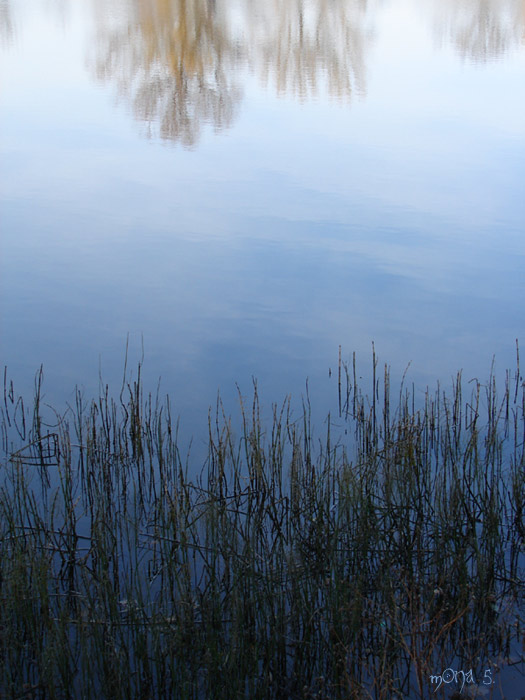 Water sky