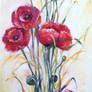 Poppies bouquet