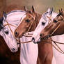 Horses