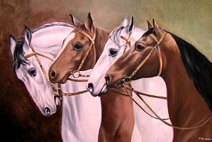 Horses