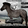 Horse Adoptable Ad - Rainy Day | FOR SALE!