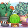Happy Succulent Garden