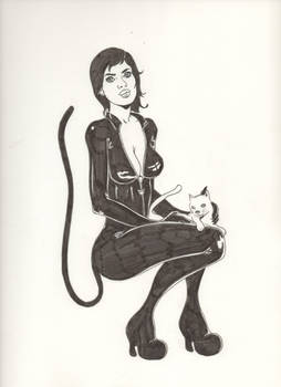 catwoman y cia.