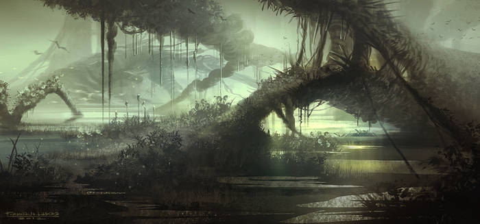 Mysterious Wetlands: The Gateway